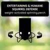 Anti Squirrel Bird Feeder | Metal Hangable Mesh Outdoors Weight