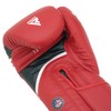 RDX Aura Plus T-17 Boxing Gloves – Maya Hide Leather,