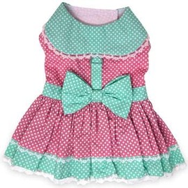 Polka Dot and Lace Dog Dress Set with Leash - Pink and Teal (Large)