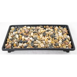 1 Rectangular Black Plastic Humidity/Drip Tray for Bonsai Tree and House Indoor Plants + Rock 10.5"x 7"x 1" (B-7+R)