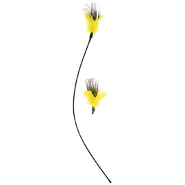 Purrfect Peacock Feather