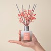 Airkeep Reed Diffuser Set,3.38 fl oz (100 ml) - English