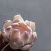 speed mao Stylish Lotus Incense Burner Holder for Healing Relaxation,