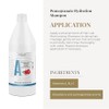 Salerm Champu Pomegranate Hidratante, 42.3 Ounce/1200 ml