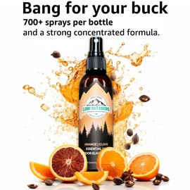 Lumi Outdoors Natural Air Freshener - Orange Clove - Essential Oil Odor Eliminating Room Spray