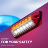 Raptors LED Technik HF2 Ambient Lighting with Warning Light (Black)