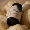 Evolution Botanicals Organic Lion's Mane, 100g