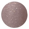 Palms Graceful Color Gel 3g 106 Rose Greydust Pearl Glitter