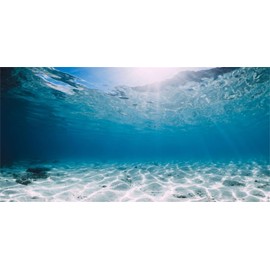 MIRRORANG 120x46cm Durable Vinyl Undersea Ocean Floor Aquarium Background Tropical Tank Background