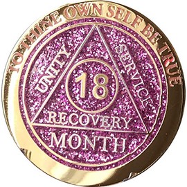 18 Month AA Medallion Reflex Pink Glitter Gold and Silver Plated Chip
