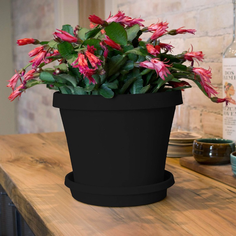 Bloem Terra Pot Planter (TR1000), Black, 10"