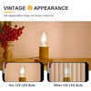 TOKCON 12V Low Voltage LED Tube Light Bulbs - Soft