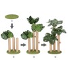 LEMONDA 31.5Inch Cat Scratching Post,Cat Scratcher Tree with 3 Scratching