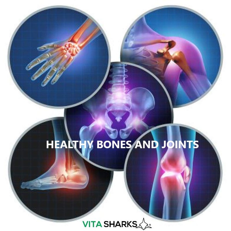 VitaDefence High Strength Vegan Mushroom+ Complex | Potent Organic 'Shroom