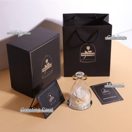 Hoomna Aquarius Rose Gift Save Flowers Birthday Gifts for Women,Mothers Birthday,Valentine's Day,Mothers Day, Thanksgiving, Eternal Rose Gift for Sister,Teacher, Mom, Grandma, Wife, Girlfriend.