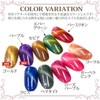 Nail Recipe Color Gel Nail Color Set UV LED Soak