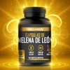 Cápsulas de Melena de León - 500mg | 60 Cápsulas