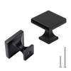 goldenwarm 5 Pack Black Cabinet Knobs for Dresser Drawers Kitchen