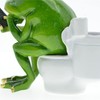 DOUBLETOP Creative Animals Frog Desktop Ornaments Bathroom Toilet Figure Fun