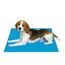 raxter Pet Dog Cat Cooling Mat Small Size 30x40 cm with Extra Self Cooling Gel Mat Pads and Foldable Soft Puppy Sprinkler Freeze Ice Pad for Dogs Bed Mattress Durable Non-Toxic Puppy Cushion Blanket