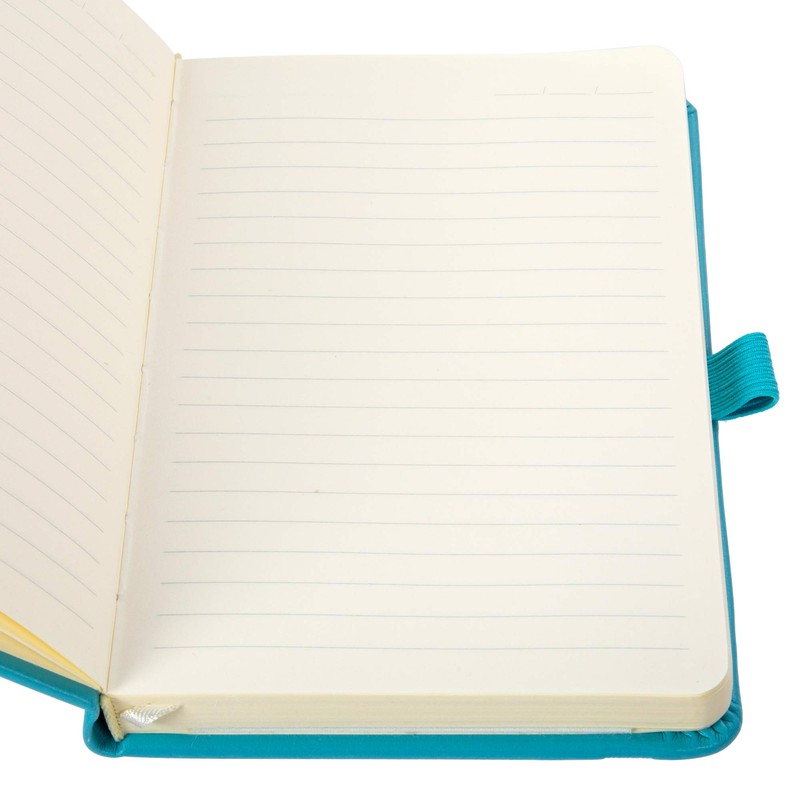 Office Works, Picasso Notebooks 80-Sheet Ruled 80gsm Small Fine Journal,