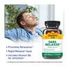 Country Life Gaba Relaxer, Rapid Release - 90 Tablets