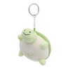 Wigo Women's Faded Turtle Plush Keychain, green