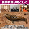 IMPACT Online Incense Holder No Spill Ash Whale Incense Burner