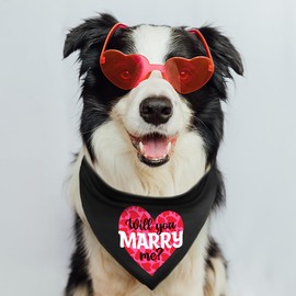 Spoilt Rotten Pets 'Will You Marry Me' Marriage Proposal Design. Valentine's Day Birthday Engagement Surprise Proposal Dog Bandana