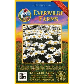 Everwilde Farms - 2000 Shasta Daisy Wildflower Seeds - Gold Vault Jumbo Seed Packet