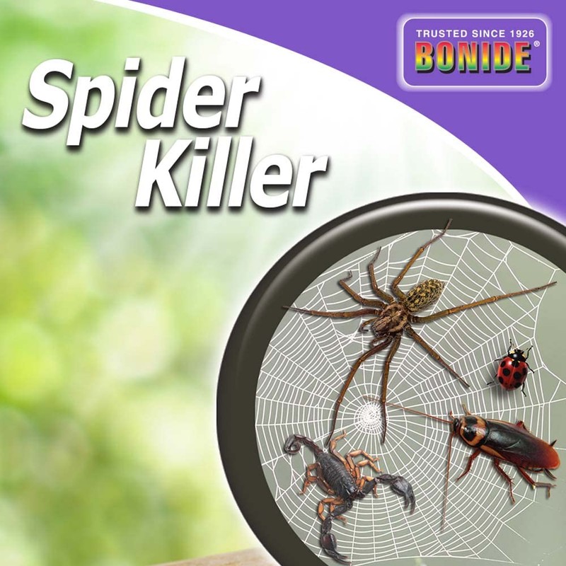 Bonide Spider Killer, 128 oz Ready-to-Use Spray for Indoors &