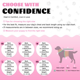 DoggieKit Dog Surgery Recovery Suit, Puppy Surgical Onesie for Female Spay Male Neuter, Soft Anti-Licking Bodysuit Pajamas Shirt After Surgery, E-Collar & Cone Alternatives for Small Medium Dogs Cats