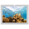 Caribbean Sea Views (Wall Calendar 2026 DIN A4 Landscape), CALVENDO