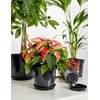 Garronda Flower Pot Saucer GD-0026 (Black, Diameter 17 cm, Height