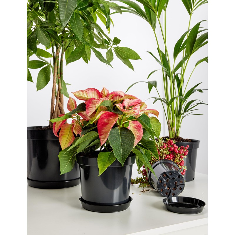 Garronda Flower Pot Saucer GD-0026 (Black, Diameter 17 cm, Height