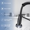 DJS Kitchen Faucets with Pull Down Sprayer Matte Black -