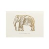 The Notecard Collection - A Big Elephant Design - A