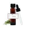 Essential Oils For Scent Work, Smell Training, Nose work. 100%