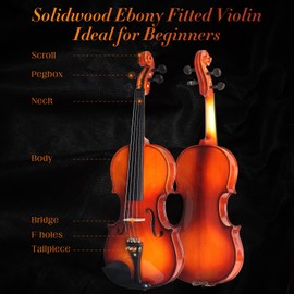 Violin For Beginners, CVN-300 Solidwood Ebony Fitted Violin with Strings, Beginner Starter Violins Kit For Student w/Hard Case, Rosin, Bow, Stringed Musical Instruments, Size 1/2