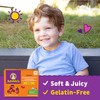 Annie's Organic Bernie's Farm Fruit Flavored Snacks, Gluten Free, 10