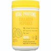 Vital Protein Collagen Peptide Lemon 313g Powder VPR054 p27 / 바이탈프로틴 콜라겐 펩타이드 레몬 313g 분말 파우더 VPR054 p27