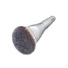 Rosy Rosa Powder Fan Brush (Makeup Brush for All Powders)