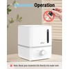 Bear Humidifiers for Bedroom, 2.5L Cool Mist Humidifiers and Oil