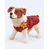 Simplicity SS9520A Dog Coats A XS-S-M-L-XL