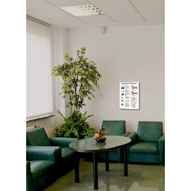 Blue Tree Publishing Hearing Protection Poster 12x17inch, Molded Ear Plug, Banded Ear Plug, Musician Ear Plug