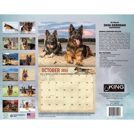 2026 German Shepherds Wall Calendar 16-Month X-Large Size 14x22, Dog Calendar by The KING Company-Monster Calendars