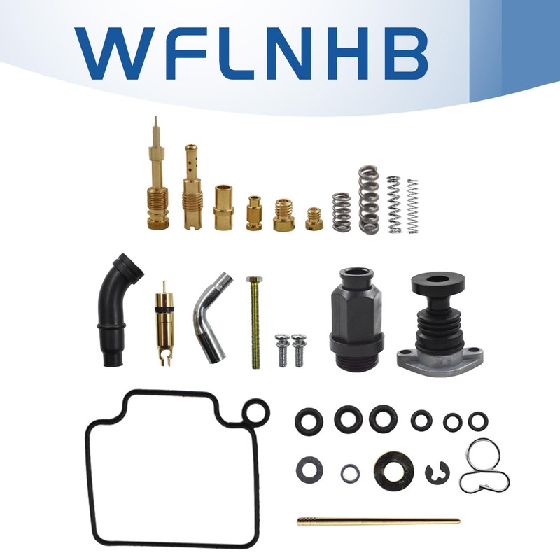 Carb Carburetor Repair Kit with Choke Plunger Starter Valve and