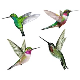 4 Large Beautiful Humming Bird Static Cling Window Stickers - Hummingbird Anti Collision Bird Strike Window Stickers - UNIQUE Double Sided Print