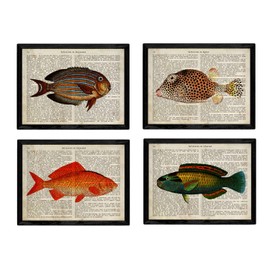 Nacnic Set of 4 Vintage Encyclopedia Posters with Fish in Various Colours Illustrations of Sea Animals in Retro Style A4 Unframed