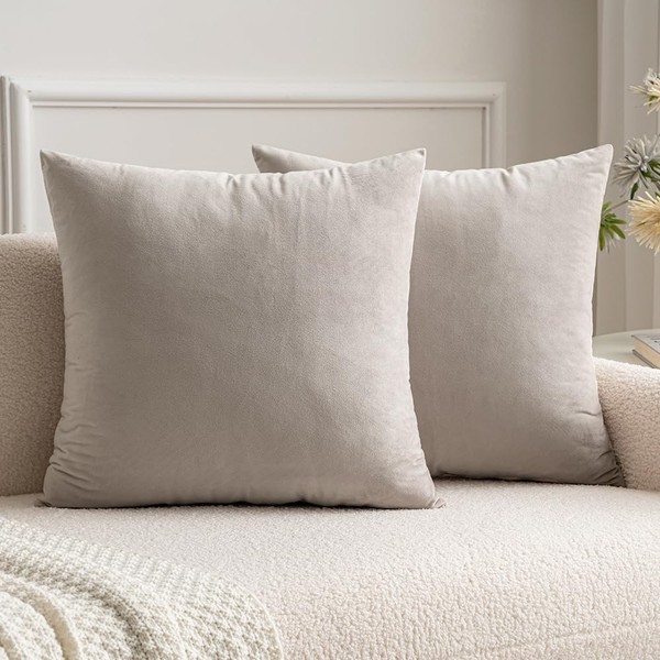 MIULEE Set of 2 Velvet Soft Solid Decorative Square Scatter